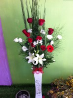 /album/amor/a10296452-1408217772790532-8588930305947236298-o-jpg/