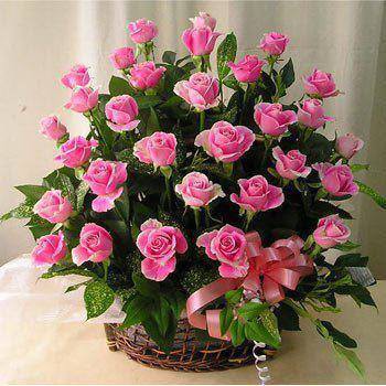 Canasto de rosas - 18 ROSAS $25.990.-