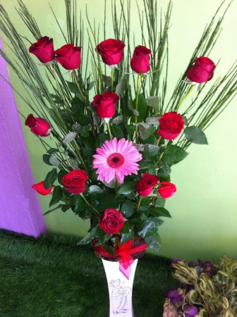 Innocence love 13 rosas $18.990.-
